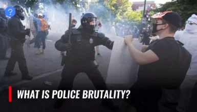 what is police brutality