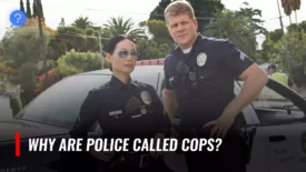 why are police called cops