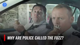 why are police called the fuzz